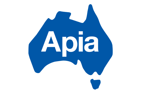 api-logo